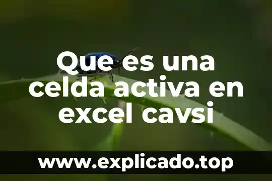 Que es el porcentaje de conversion de una celda solar 7 Que es una celda activa en excel cavsi