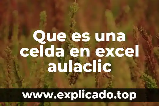 Que es el porcentaje de conversion de una celda solar 4 Que es una celda en excel aulaclic
