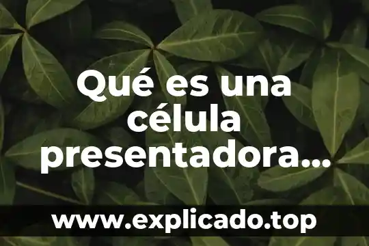 Que es sustancia citotoxica libera la celula asesina natural 5 Qué es una célula presentadora de antígenos