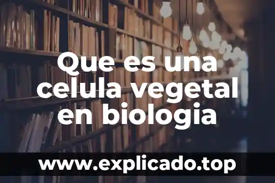 Biologia que es el adn 7 Que es una celula vegetal en biologia
