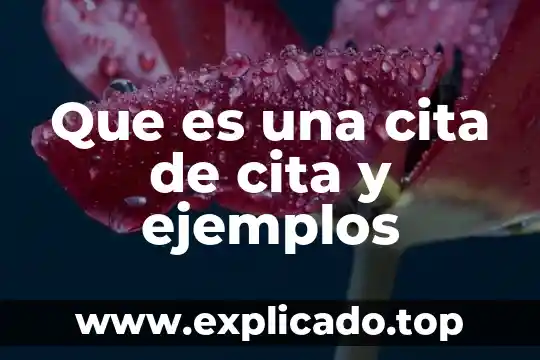 Que es el geotactismo y ejemplos 6 Que es una cita de cita y ejemplos