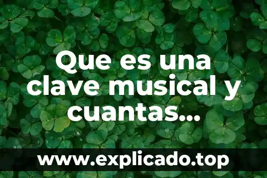 A cuántas semanas se puede saber que es mi bebe 5 Que es una clave musical y cuantas existen