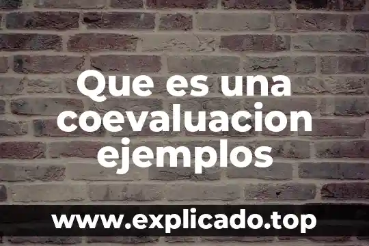 Que es una coevaluacion ejemplos