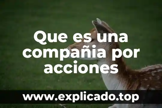 Que es una compañia de financiamiento comercial en colombia 3 Que es una compañia por acciones