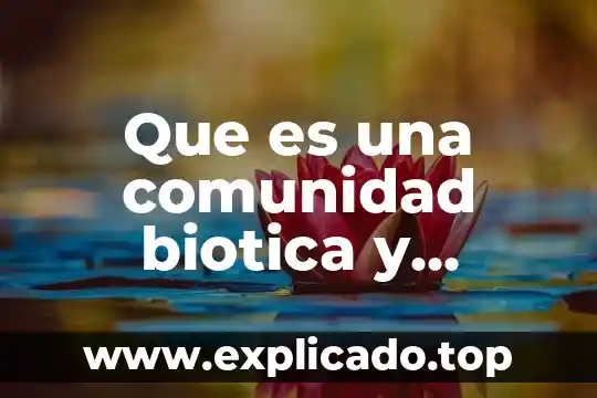 Que es una funcion en grafica los elementos conforman 8 Que es una comunidad biotica y quienes la la conforman
