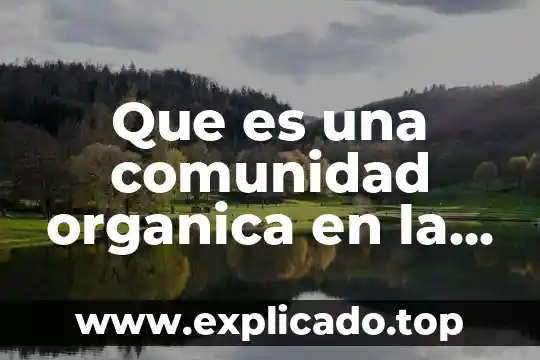 Que es comunidad en la iglesia 5 Que es una comunidad organica en la iglesia