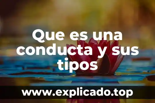 Que es un stock d productos 8 Que es una conducta y sus tipos
