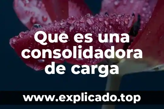 Que es carga de materias 4 Que es una consolidadora de carga