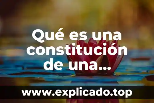 Que es el articulo de constitución 8 Qué es una constitución de una sociedad
