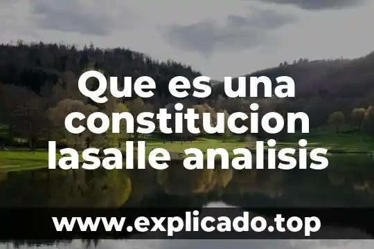 Que es el articulo de constitución 7 Que es una constitucion lasalle analisis