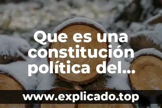 Que es el articulo de constitución 3 Que es una constitución política del estado ermo quisbert