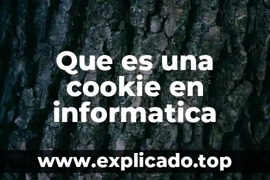Que es planear en informatica 8 Que es una cookie en informatica