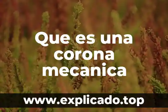 Qué es una corona libre metal 5 Que es una corona mecanica