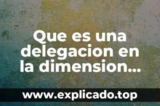 Qué es un esquema organizacional 3 Que es una delegacion en la dimension organizacional