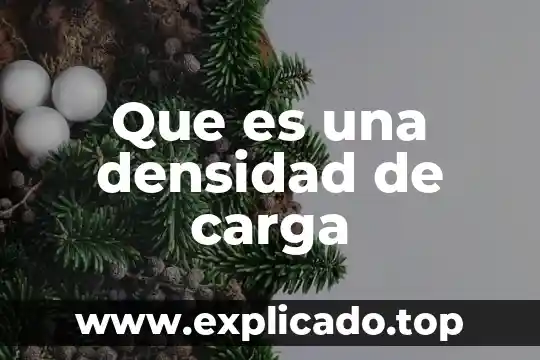 Abstencion de investigar que es 6 Que es una densidad de carga