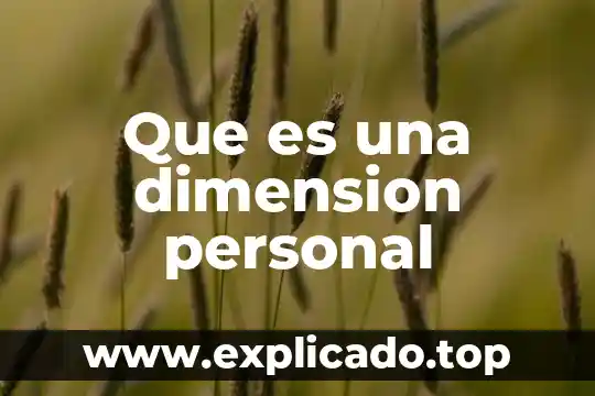 Que es el.demonio personal 3 Que es una dimension personal