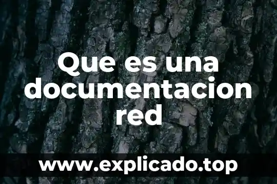Que es la gestión de documentacion como se llevan acabo 3 Que es una documentacion red