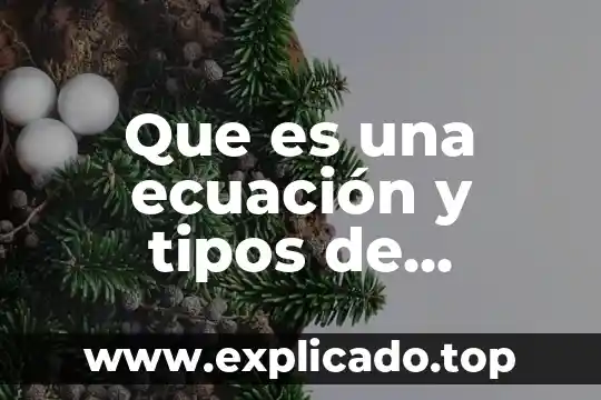 Por que es importante la distancia dirigida en una ecuación 8 Que es una ecuación y tipos de ecuaciones