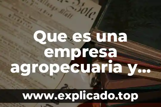Que es la administracion agropecuaria 3 Que es una empresa agropecuaria y sus caracteristicas