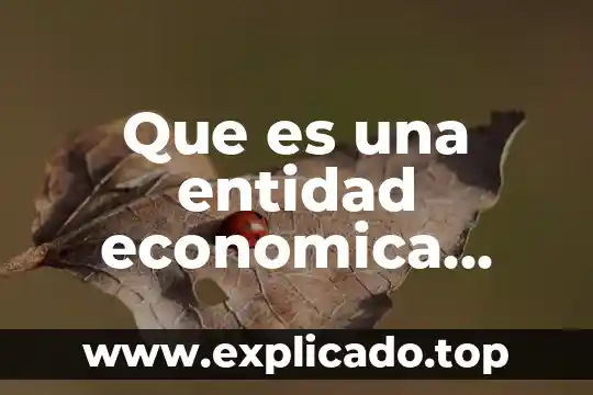 Diagrama entidad relación que es 3 Que es una entidad economica segun los autores mas reconocidos