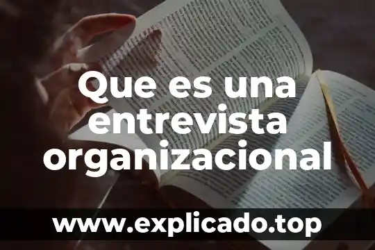 Que es una delegacion en la dimension organizacional 4 Que es una entrevista organizacional