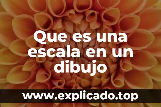 Qué es un rótulo en dibujo 3 Que es una escala en un dibujo