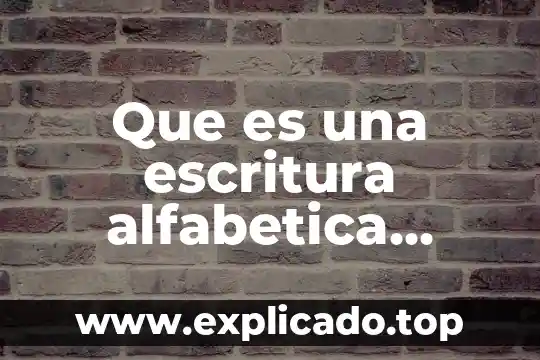 Qué es un organismo unicelular y pluricelular ejemplos 6 Que es una escritura alfabetica ejemplos