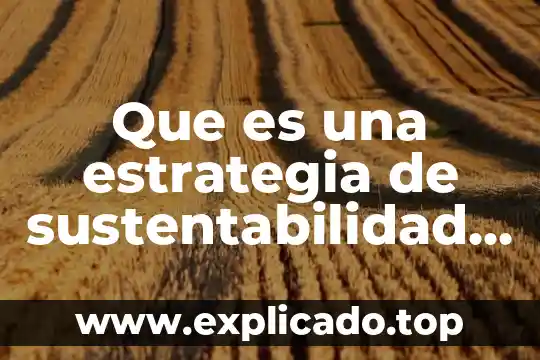 Que es un reglamento escolar ejemplo 5 Que es una estrategia de sustentabilidad economica