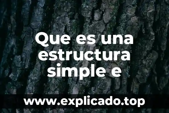 Que es la estructura sintaxis 8 Que es una estructura simple e