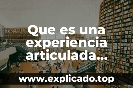 Que es la experiencia de aprendizaje en inicial 4 Que es una experiencia articulada filosofia