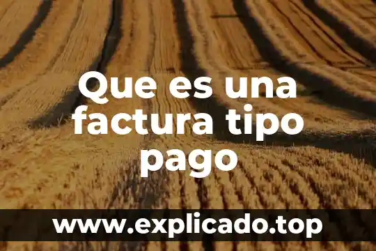 Que es una factura electronica para las personas fisicas 5 Que es una factura tipo pago