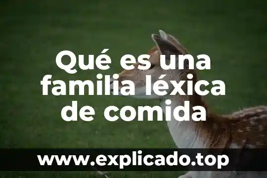 Que es la familia léxica de flor 7 Qué es una familia léxica de comida