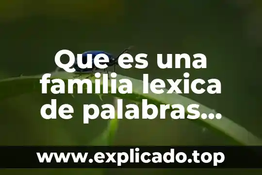 Que es la familia léxica de flor 5 Que es una familia lexica de palabras intrusa