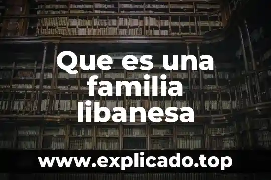 Que es un supuesto en derecho de familia 7 Que es una familia libanesa