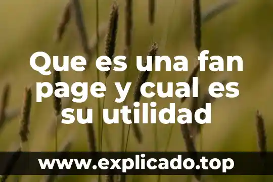 Ansi code page que es 3 Que es una fan page y cual es su utilidad