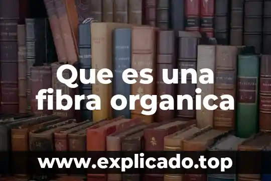 Por que es importante fibra que la proteina en rumiantes 6 Que es una fibra organica
