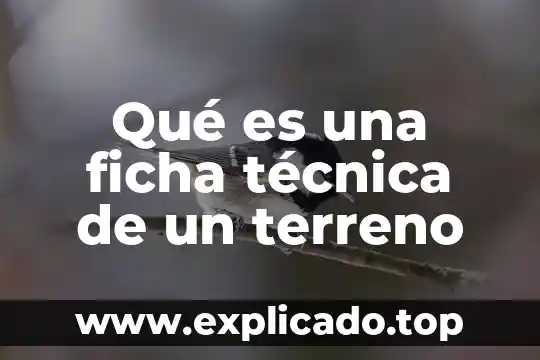 Terreno comunal que es 4 Qué es una ficha técnica de un terreno