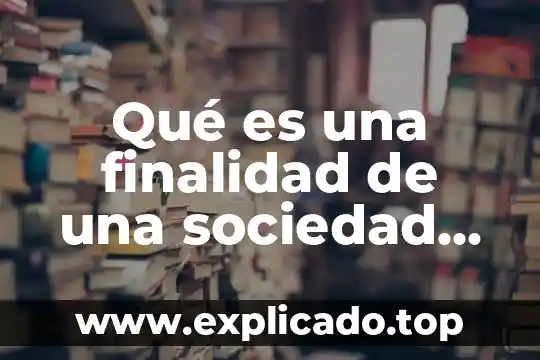 Que es porno caracteristicas funcion y finalidad 7 Qué es una finalidad de una sociedad en derecho