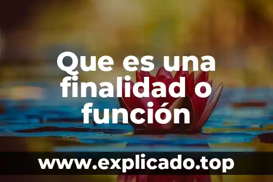 Que es porno caracteristicas funcion y finalidad 8 Que es una finalidad o función
