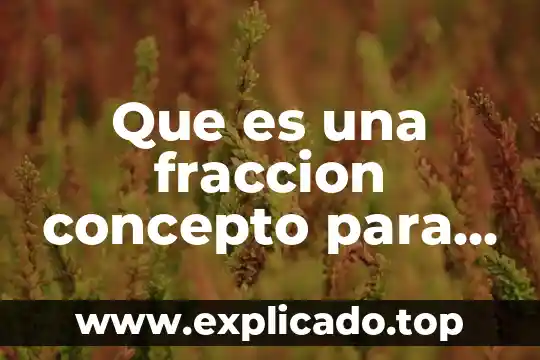 Que es descomposicion de numeros para niños 7 Que es una fraccion concepto para niños