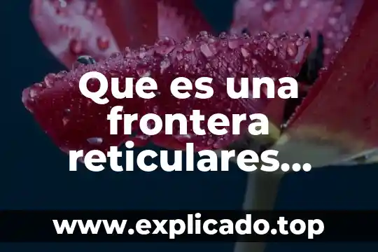 Qué es Pay Stop en diseño 5 Que es una frontera reticulares diseño mecanico