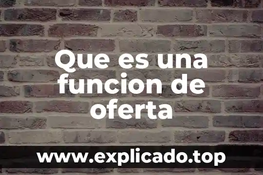 Qué es la oferta pública en mercado de dinero 3 Que es una funcion de oferta