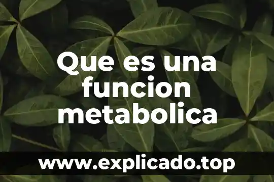 Que es un glosario mejoramos nuestra vida ejemplo 7 Que es una funcion metabolica