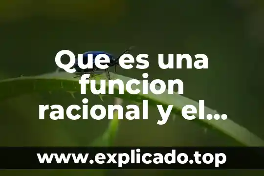 Que es un despeje matematico y como se realiza 5 Que es una funcion racional y el modelo matematico