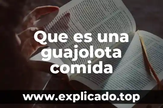 Que es registro mnémico 6 Que es una guajolota comida
