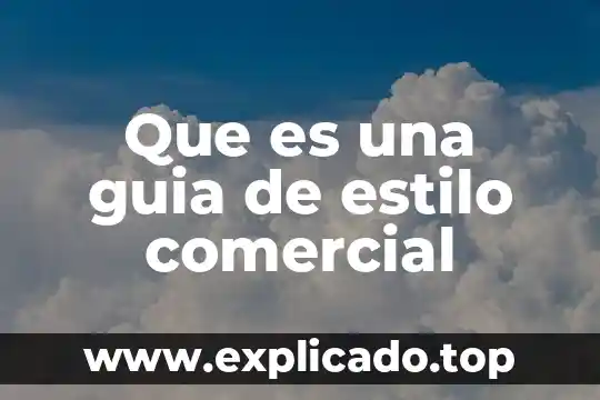 Que es un antisuero comercial 3 Que es una guia de estilo comercial