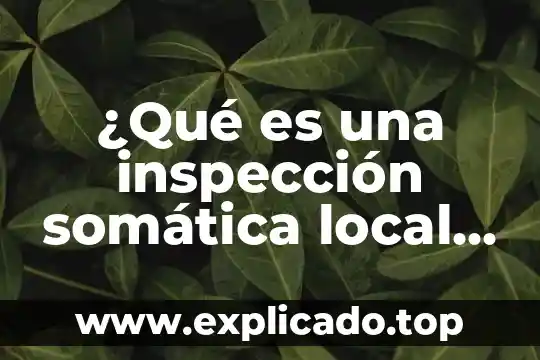Servicio de transporte local que es 5 ¿Qué es una inspección somática local y somática general?