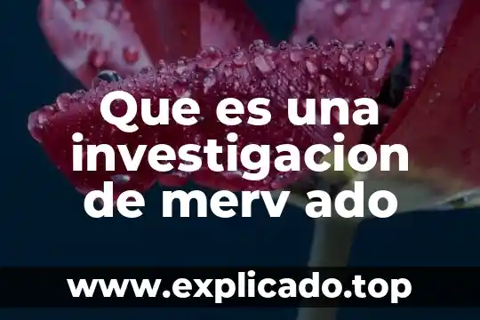 Que es un esquema en la investigación 6 Que es una investigacion de merv ado