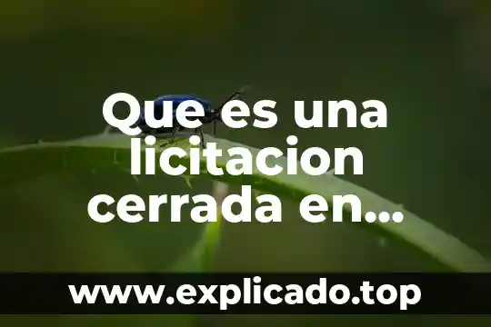 Que es una licitacion cerrada en tipos de compras gubernamentales