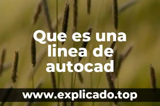 Que es una linea de autocad